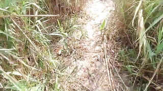 Desi bhabhi topless jungle saree amateur sex video